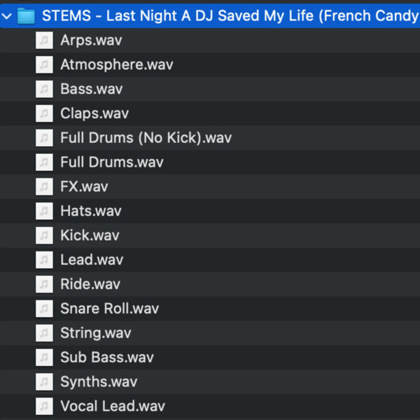 Last Nigt A DJ Saved My Life [STEMS] – Image 2