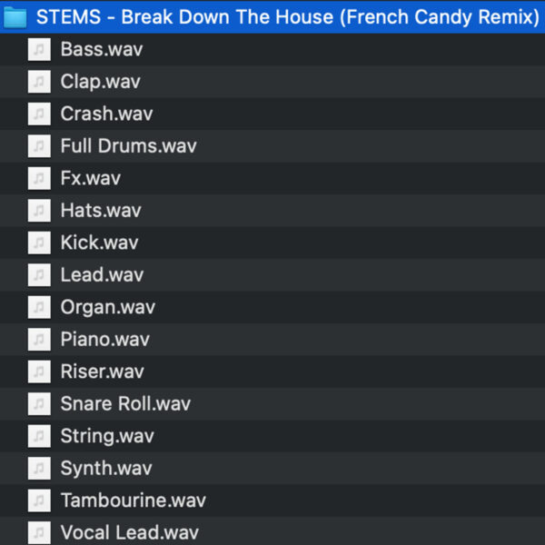 Break Down The House [STEMS] – Image 2